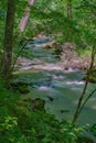 Peaceful Wild Mountain Trout Stream Royalty Free Stock Photo