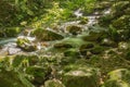 Peaceful Wild Mountain Trout Stream Royalty Free Stock Photo