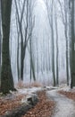 Winterscape in Soproni-hegysÃÂ©g in Hungary