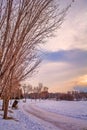 Peaceful Wintry Park Path Royalty Free Stock Photo