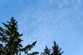 Peaceful wispy white clouds against a clean blue sky as a nature background Royalty Free Stock Photo