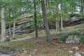 Peaceful wooded landscape with large rock formation in the background Royalty Free Stock Photo