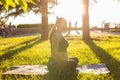 Peaceful young positive pregnant woman in gymnastic suit does yoga and meditate sitting on mat on green grass on sunny Royalty Free Stock Photo