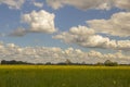 Peacefull meadow under fluffy cloads Royalty Free Stock Photo