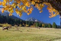 Autumn landscape with beautiful peaceful place