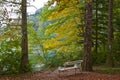 Peacefulness among autumn foliage