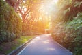 Peacful road in a park at sunset