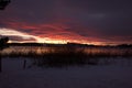 peacful winter evening mood at the lake of pfaeffikon PfÃÂ¤ffikersee