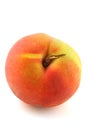 Peach Royalty Free Stock Photo