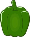 Fresh Green Capsicum Vector Illustration