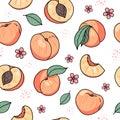 Peach or apricot hand drawn seamless pattern. Vector illustration in doodle style