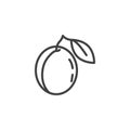 Peach, apricot line icon