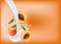 Peach apricot in milk or yogurt. Fresh fruits fall into milk. 3d realistic vector illustration isolated