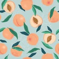 Peach or apricot seamless pattern. Hand drawn fruit and sliced pieces. Summer tropical endless background. Vector fruit