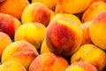 Peach Background