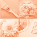 Top color of 2024 year. Trendy Peach Banner for poster and web design