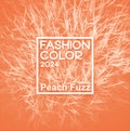 Peach background with grass and label. Fashion color of 2024 year. Banner for article and design