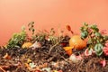 Concept Food composting, Peach background with open compost bin filled with organic waste