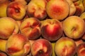 Peach Background. Texture background of sweet red ripe peaches.