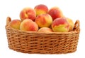 Peach in basket