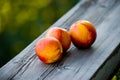 Peach Royalty Free Stock Photo