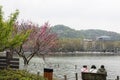 peach blossom in lakeside