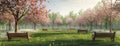 the peach blossom season in a park adorned with simple and natural wooden benches, nestled under the blooming peach Royalty Free Stock Photo