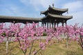 Peach blossom spring Pavilion corridor building