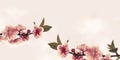 Peach Blossoms with space for your texts Royalty Free Stock Photo
