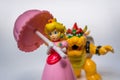 Peach and Bowser