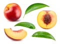 Peach collection. Ripe peach fruit