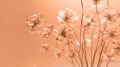 Peach colored glass flowers. Trending color 2024. Banner