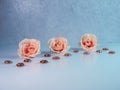 3 peach colored roses lined up with dark orange brown glass flat marbles on a white surface with a plaster background. Soft and