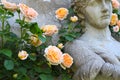 Statue of Antiquity with Peach Colored Roses