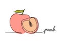 Peach continuous one line drawing, fruit vector illustration