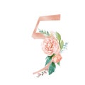 Peach Cream Blush Floral Number - digit 5 with flowers bouquet composition Royalty Free Stock Photo