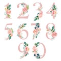 Peach cream / Blush Floral Number Set - digits 1, 2, 3, 4, 5, 6, 7, 8, 9, 0 with flowers bouquet composition