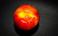 Peach on a dark background. Photo of fruit on a black background. Photo of a red single peach on a dark paper background Royalty Free Stock Photo