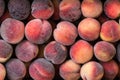 Peach.Flat peaches background. Donut peaches. Royalty Free Stock Photo