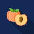 Peach fruit cartoon vector flat design on blue background Royalty Free Stock Photo
