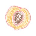 Peach fruit. Hand drawn vector illustration. Pen or marker doodle sketch. Royalty Free Stock Photo