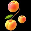 Peach Fruit Icon with 3D Effect Isolated on Transparent Background Royalty Free Stock Photo