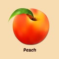 Whole Peach Fruit Vector Illustration