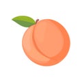 Peach fruit with leaf in a cartoon style, delicious juicy dessert icon. Yummy bright apricot isolated on white background. Vector
