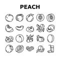 peach fruit nectarine juicy icons set vector Royalty Free Stock Photo