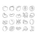 peach fruit nectarine juicy icons set vector Royalty Free Stock Photo