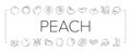 peach fruit nectarine juicy icons set vector Royalty Free Stock Photo