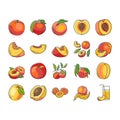 peach fruit nectarine juicy icons set vector Royalty Free Stock Photo