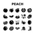 peach fruit nectarine juicy icons set vector Royalty Free Stock Photo