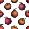 Peach fruit vintage vector seamless pattern. Botanical fruit. Engraved peach. Vector illustration